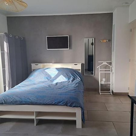 Studio Dans Maison Avec Jardin Et Balcon, Au Calme Sérézin-du-Rhône Exterior foto